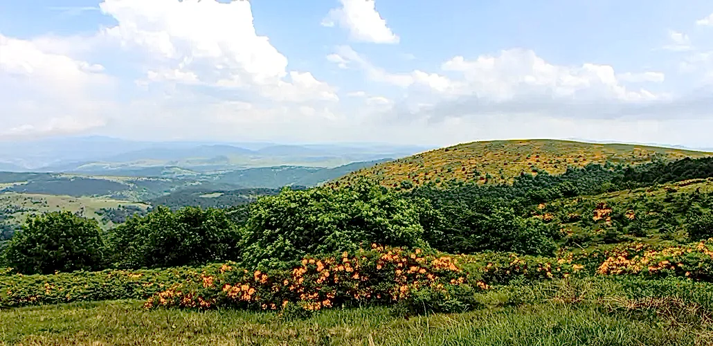 Bahar Rotası: Doğu Karadeniz Rehberi