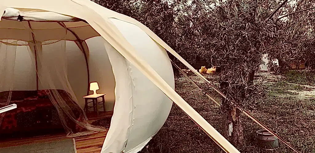 Türkiye’de Glamping: Doğa, Huzur, Lüks ve Konfor